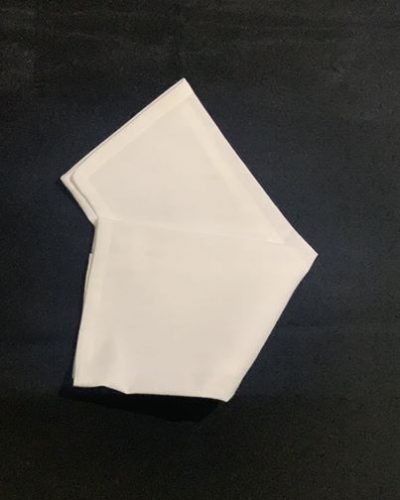 White Cloth Napkin